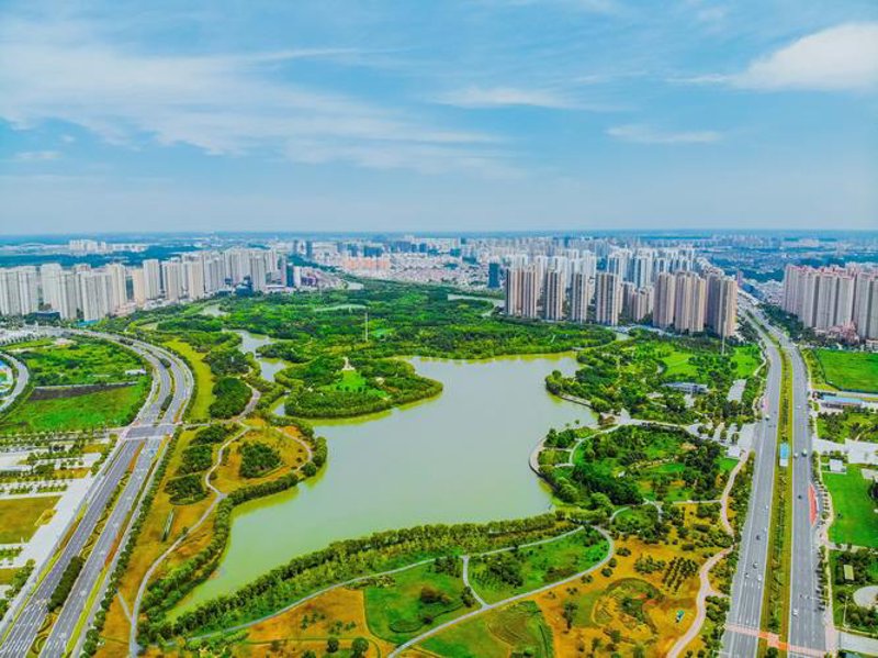 小程序开发:构建轻量级应用的新风向